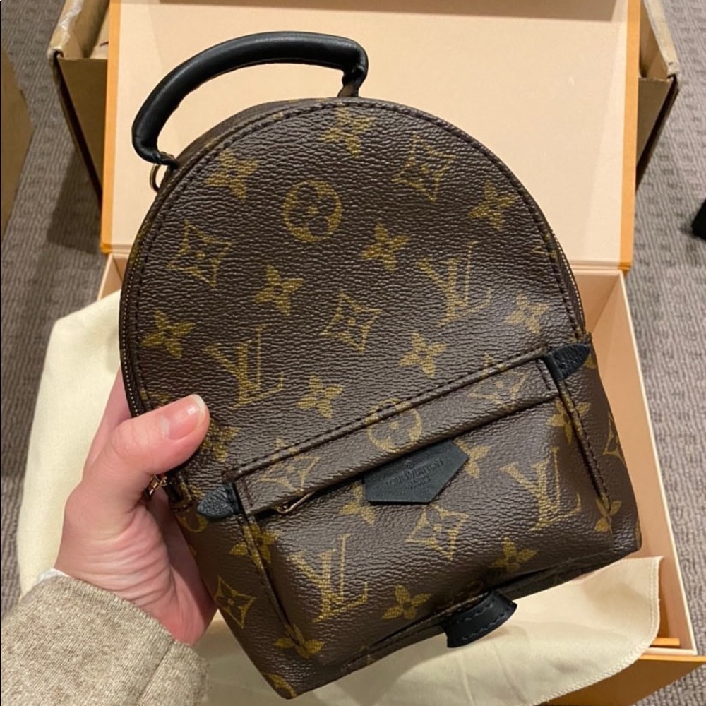 Louis Vuitton Palm Springs Mini